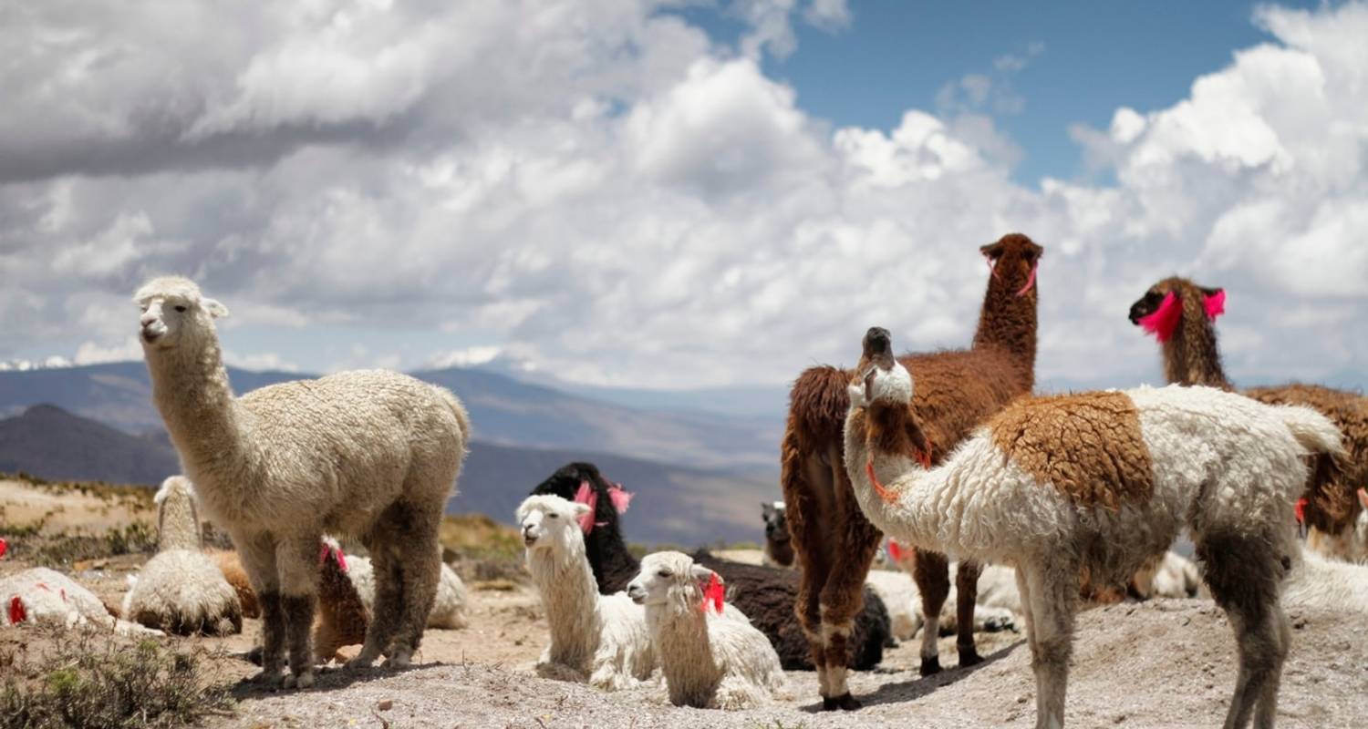 Northern Of Argentina In Salta & Jujuy