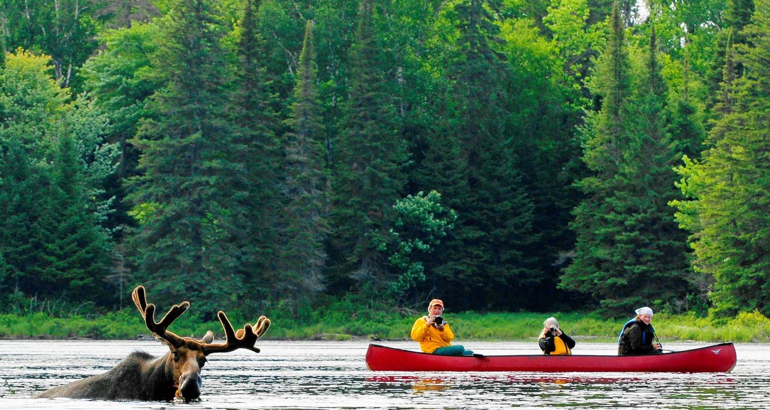 Algonquin Park 3-Day Canoe Trip