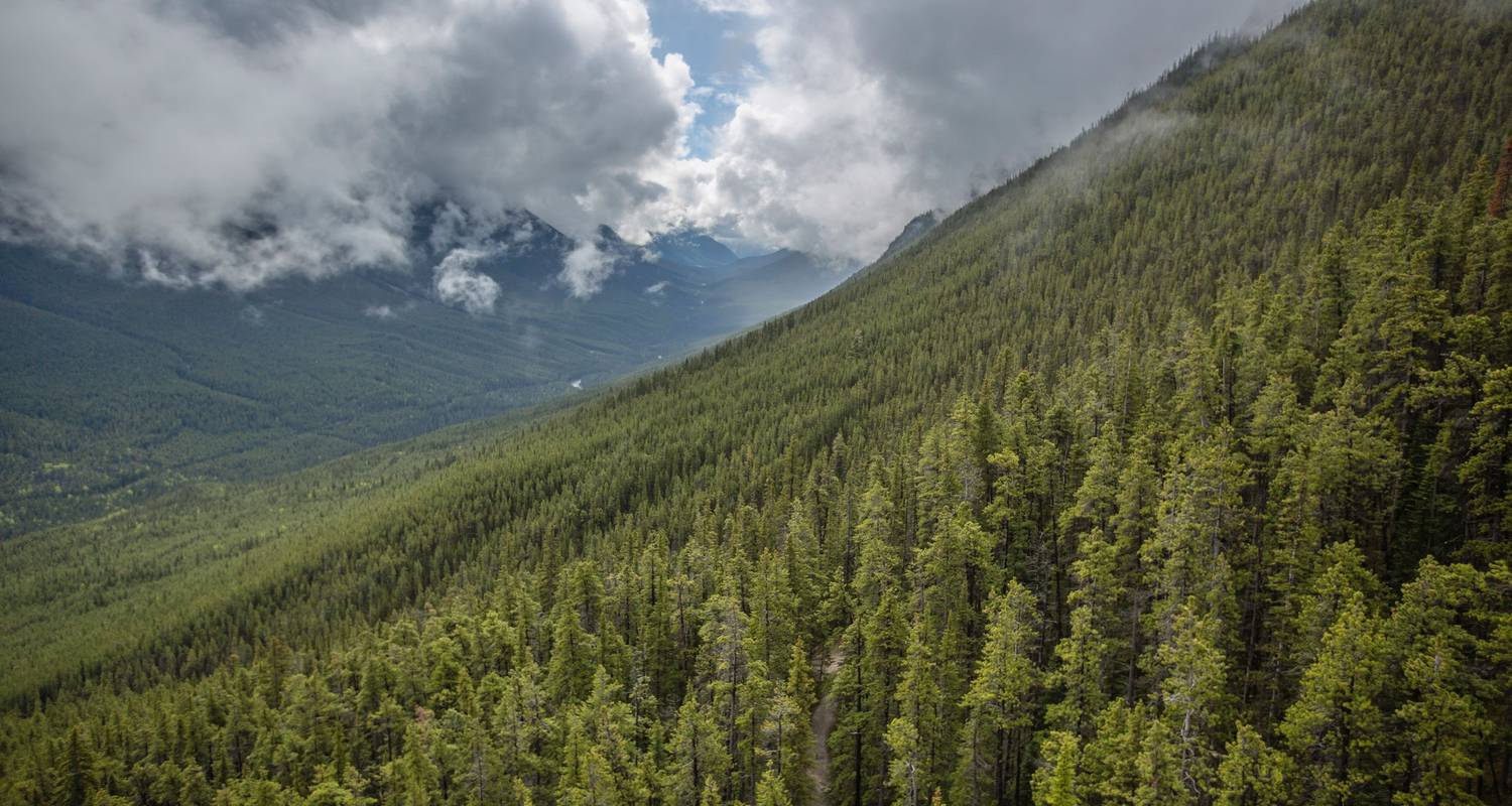 Active West Coast & Canadian Rockies