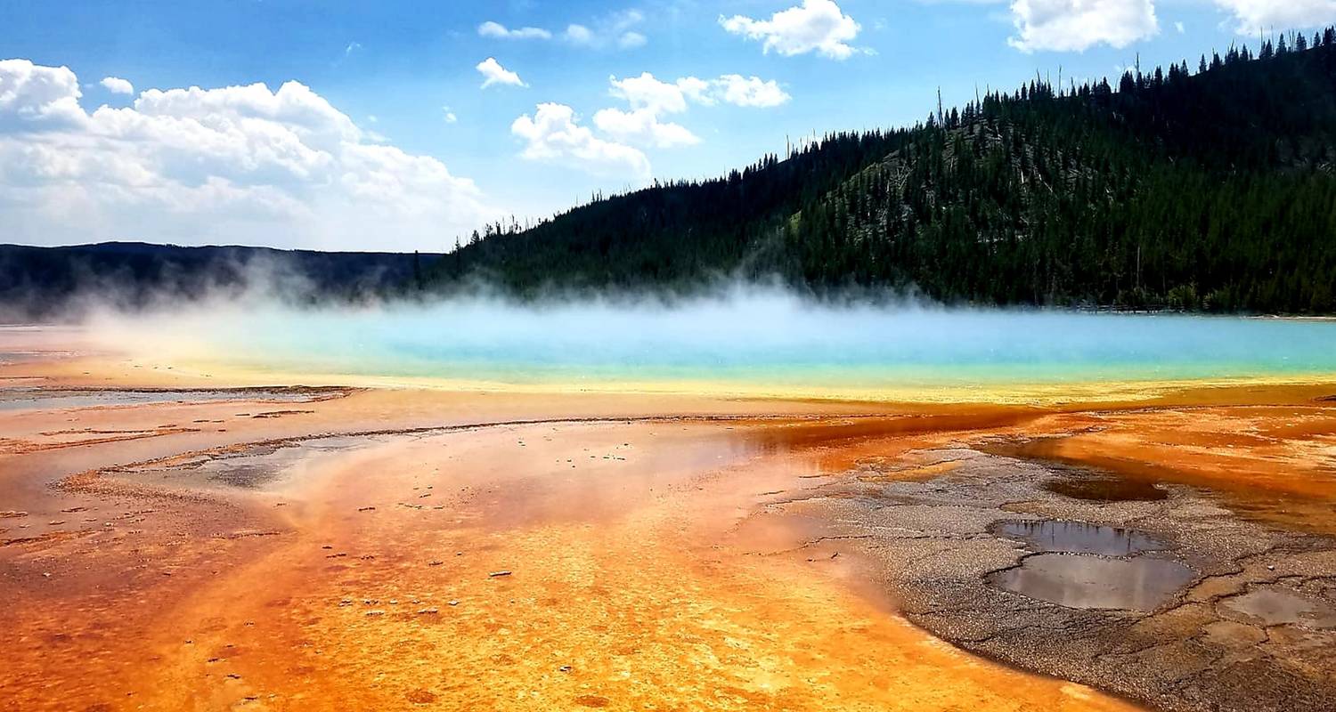 National Parks Family Journey: Yellowstone And Grand Teton