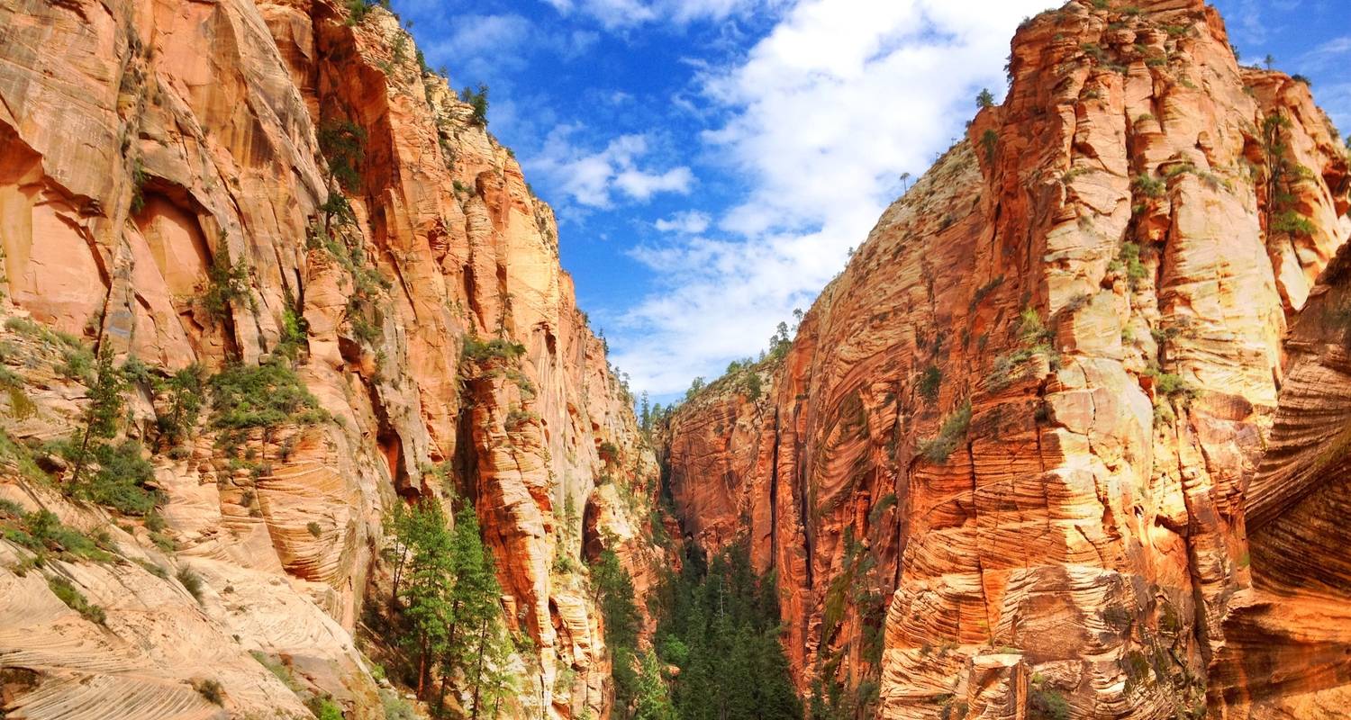 Private Zion Canyon Day Tour