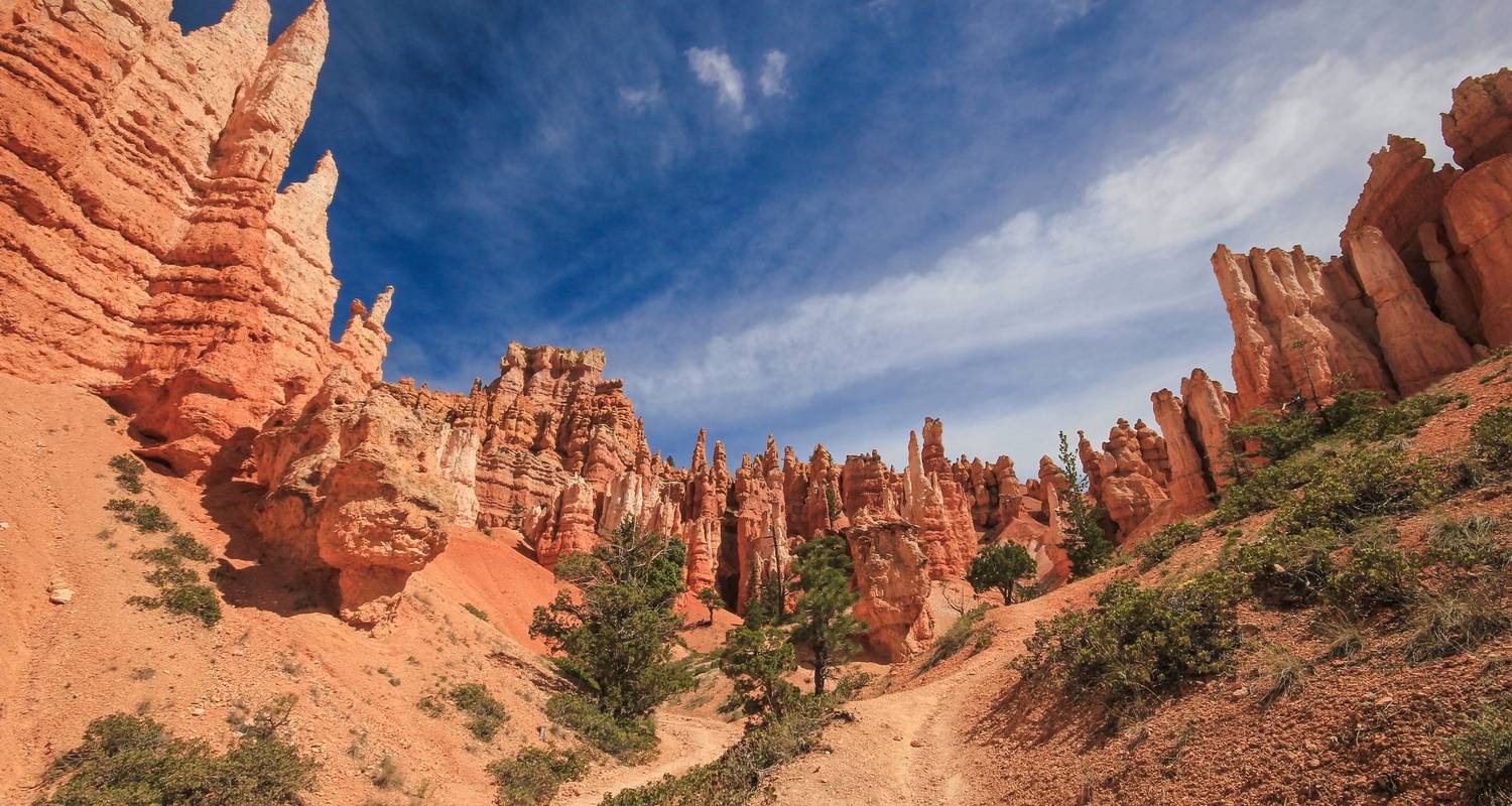 Usa Road Trip: Big Cities & West Coast Parks