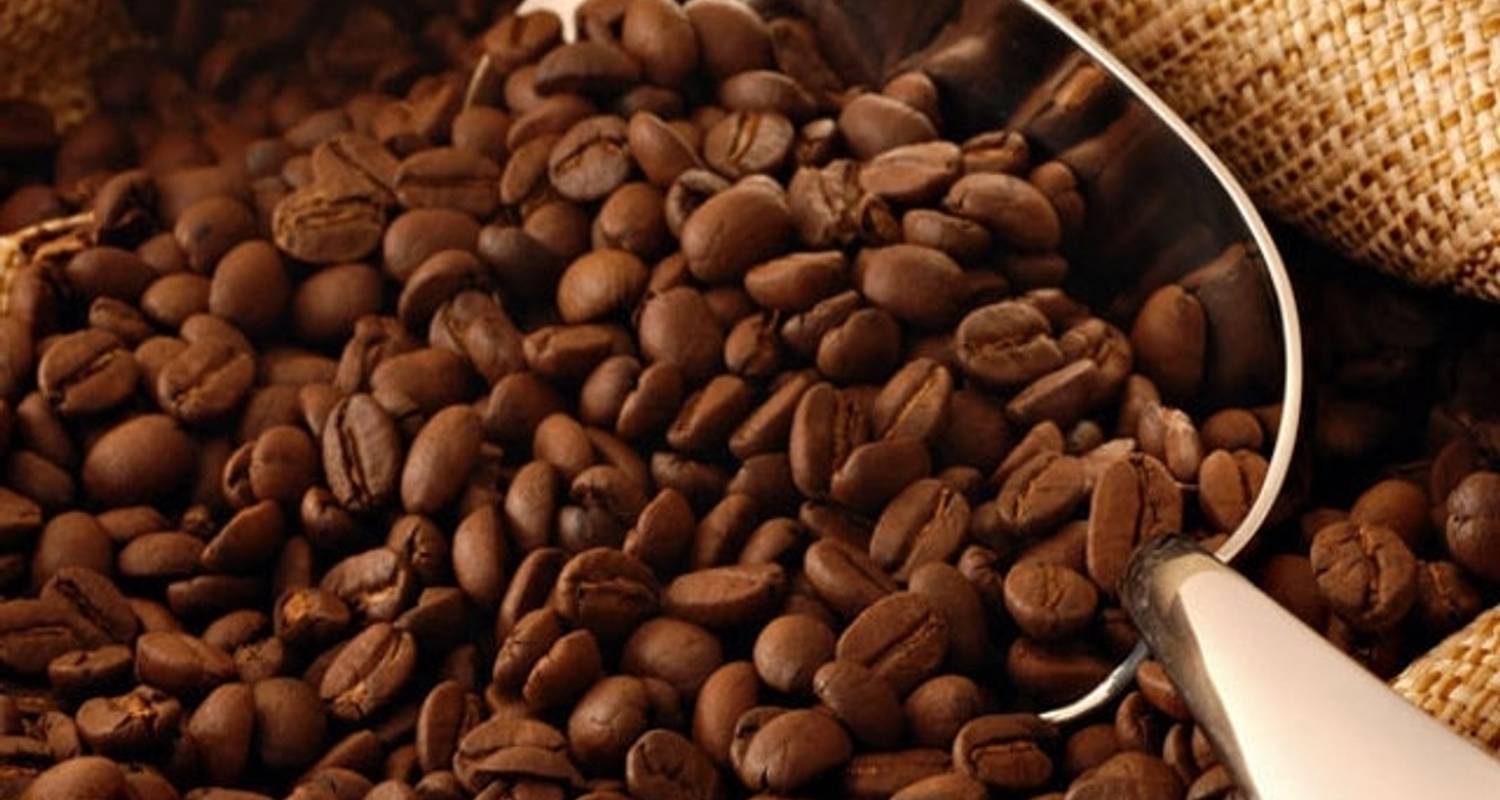 The Coffee, Veracruz And Tajin, Papantla.