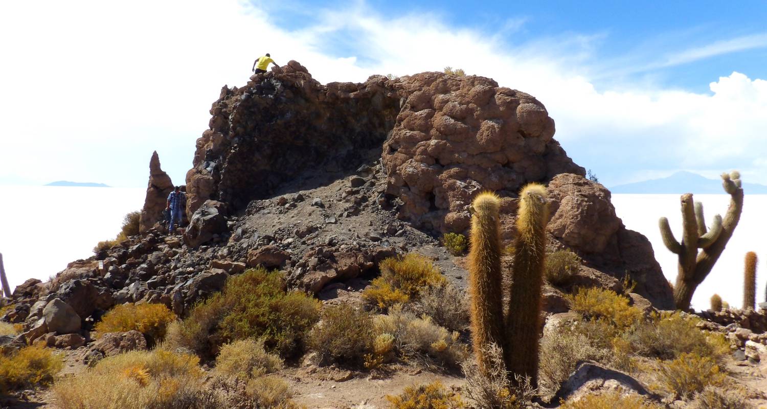 Bolivia Discovery