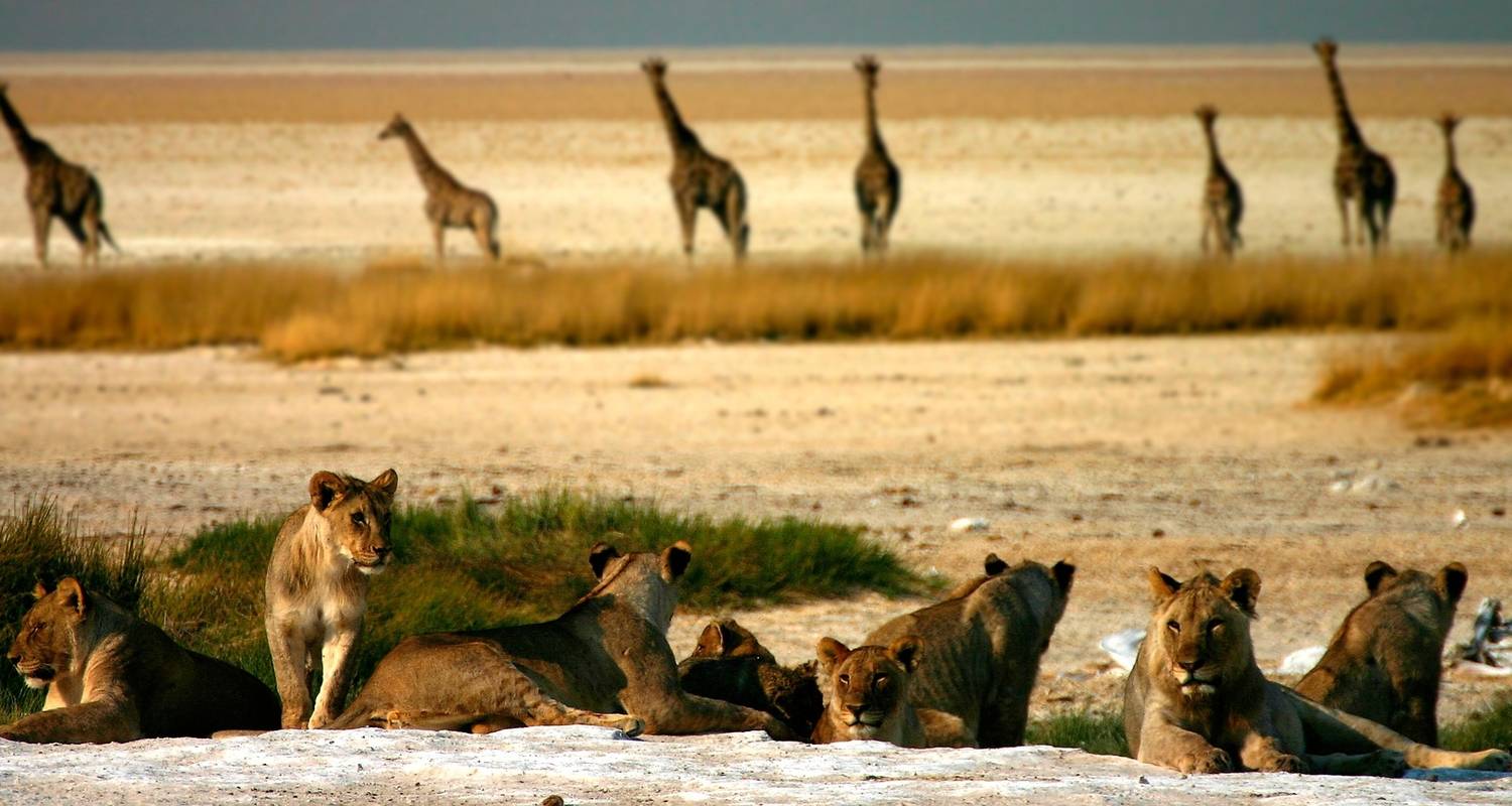 5 Days / 4 Nights Namibian Adventure (Comfort)