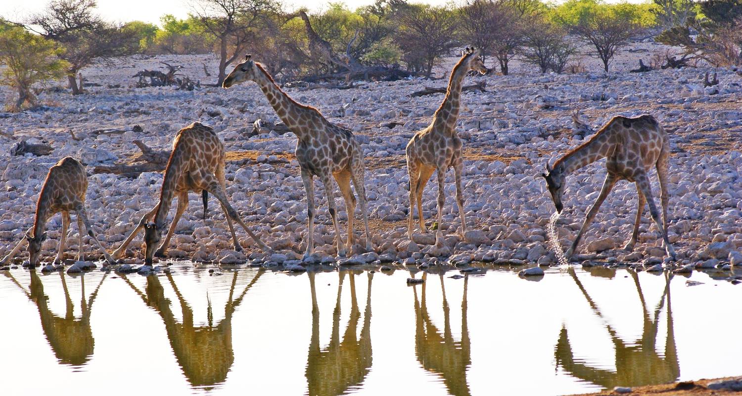 An adventure touring the most emblematic places in Namibia 4 Day Etosha & Swakopmund Accommodated Adventure