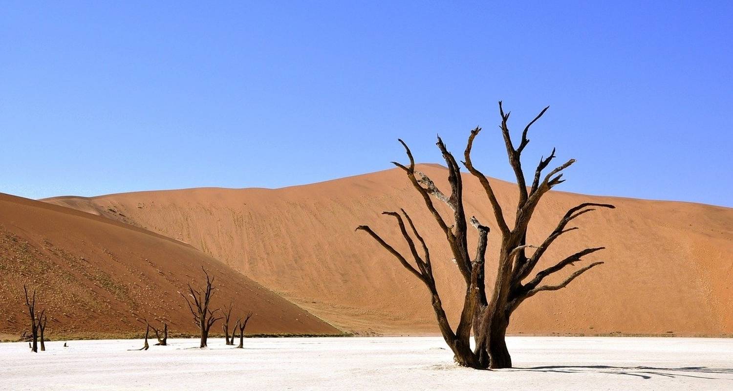 5 Days / 4 Nights Namibian Adventure (Camping)