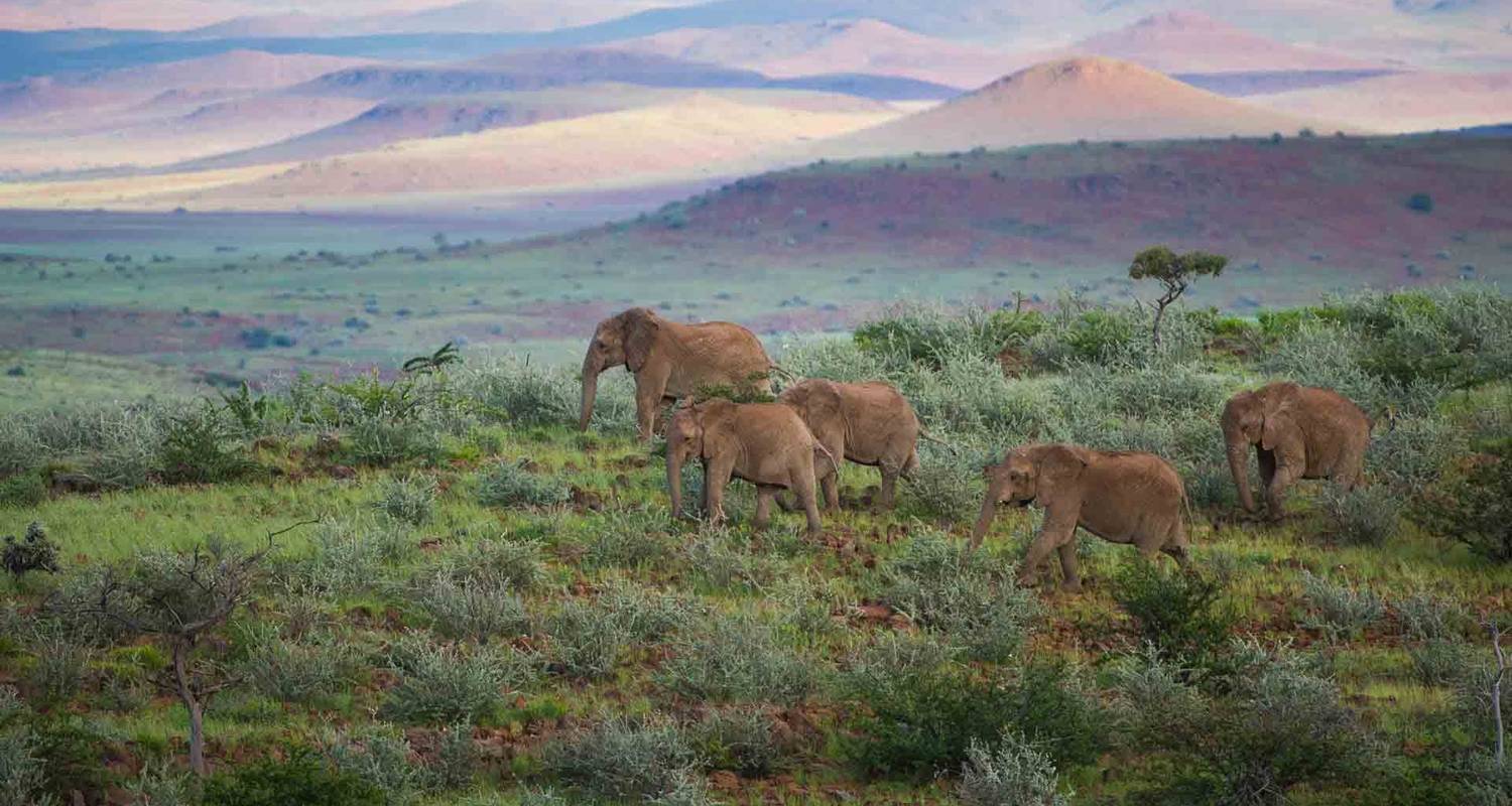 An adventure touring the most emblematic places in Namibia 7 Days Highlights Of Namibia | Auto Tour Lodge