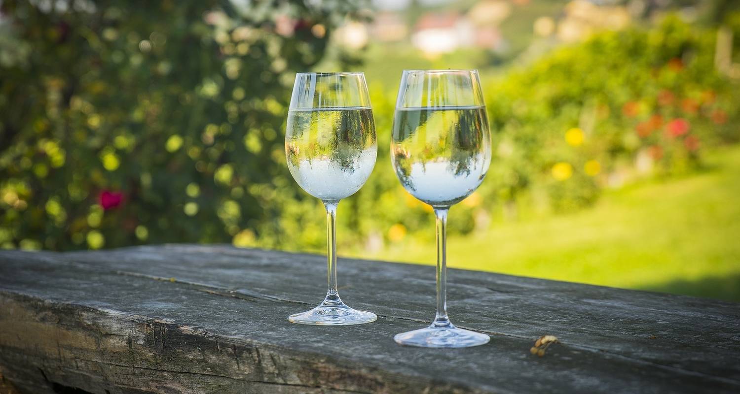 An adventure touring the most emblematic places in Italy Private Wine Tour Between Garda Lake And Prosecco Hills