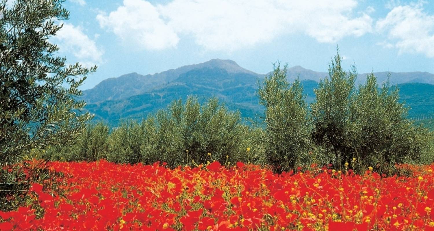 An adventure touring the most emblematic places in Spain Moorish Andalucia