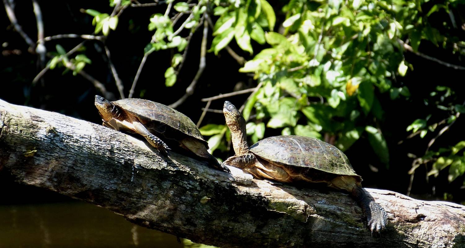 Discover Costa Rica