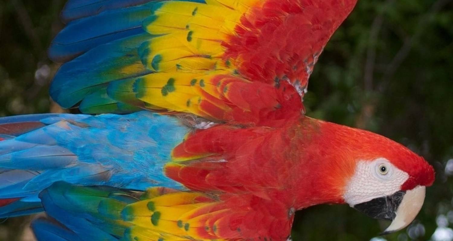 Costa Rica Pure Nature 10 Days