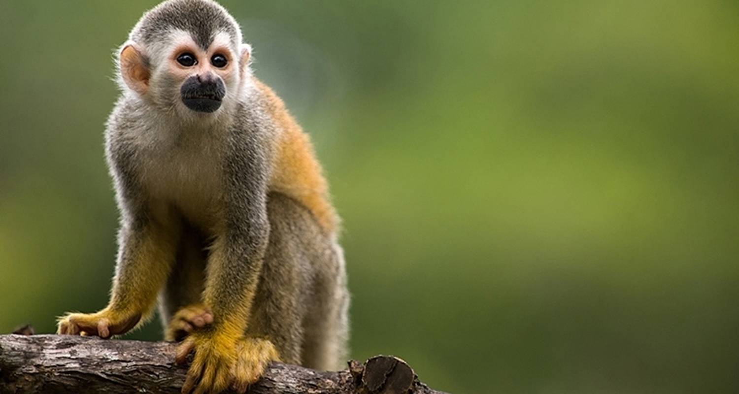 Costa Rica’S Coastal Secrets