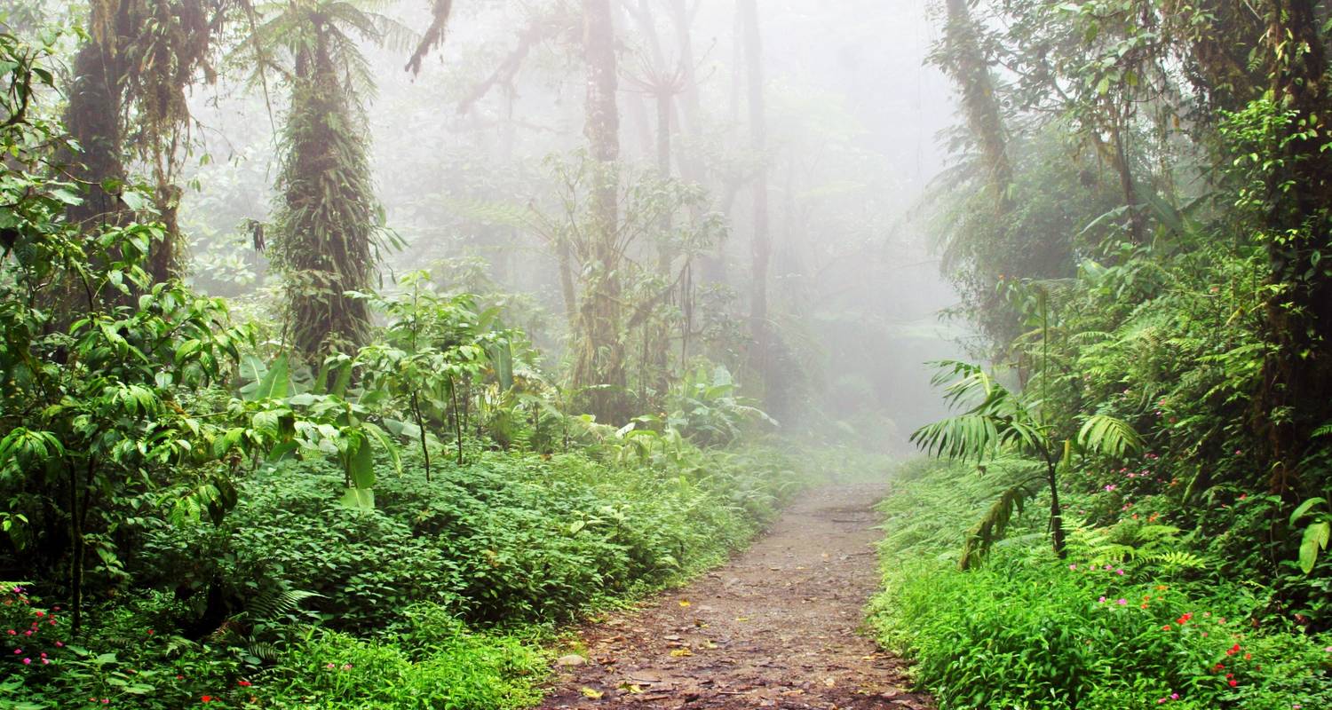Arenal Volcano & Monteverde Cloud Forest Costa Rica, The Per
