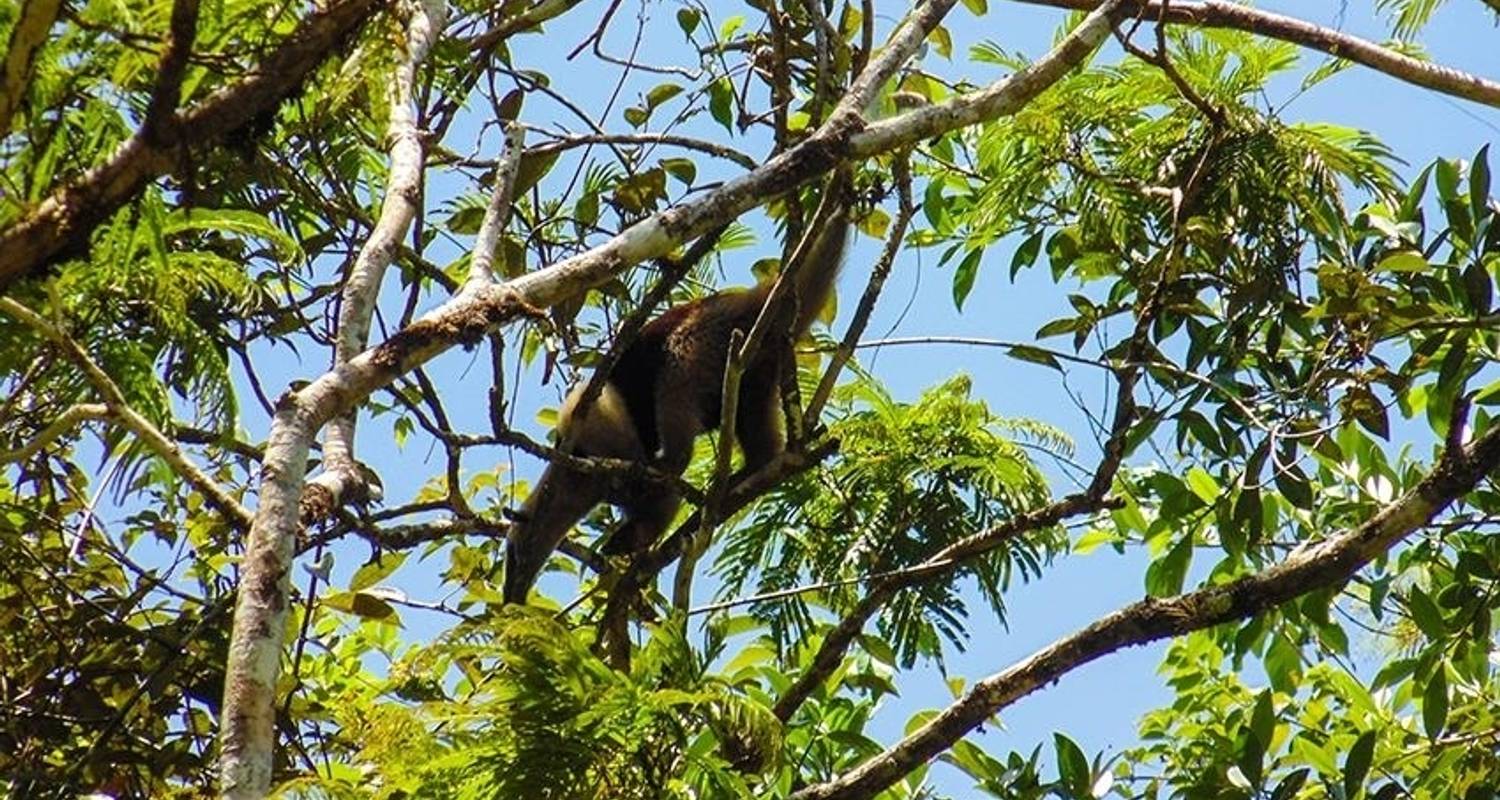 Tortuguero National Park Adventure 3D/2N