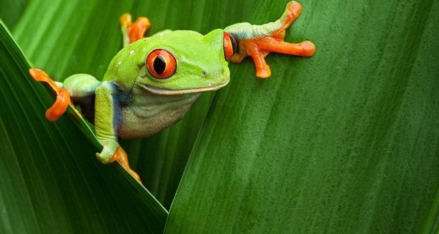 Highlights Of Costa Rica + Beach Extension