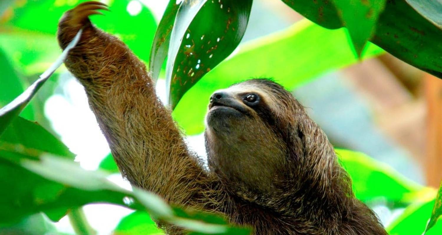 Highlights Of Costa Rica