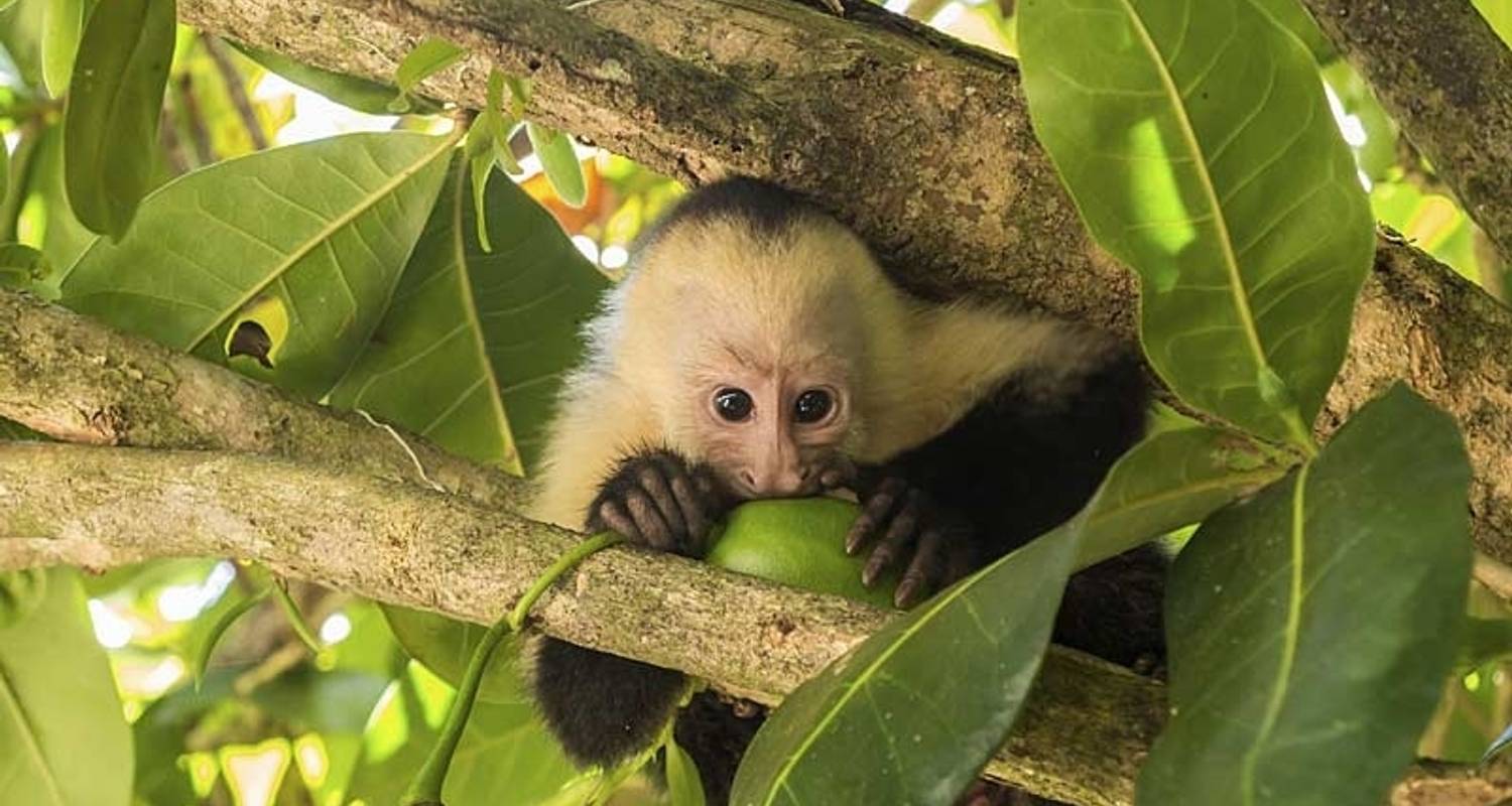 An adventure touring the most emblematic places in Costa Rica Natural Highlights Of Costa Rica
