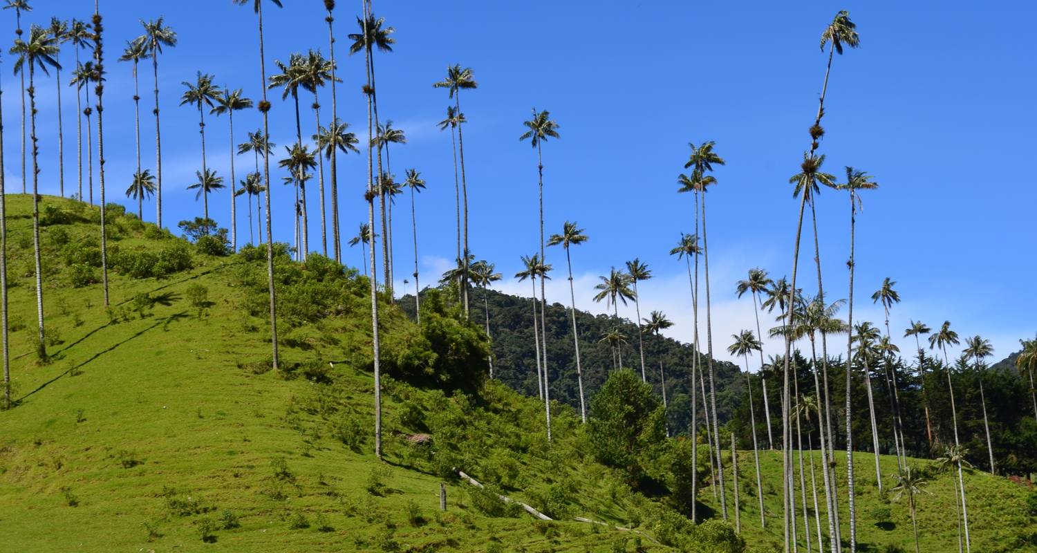 An adventure touring the most emblematic places in Colombia Colombia: Culture, Coffee & Caribbean
