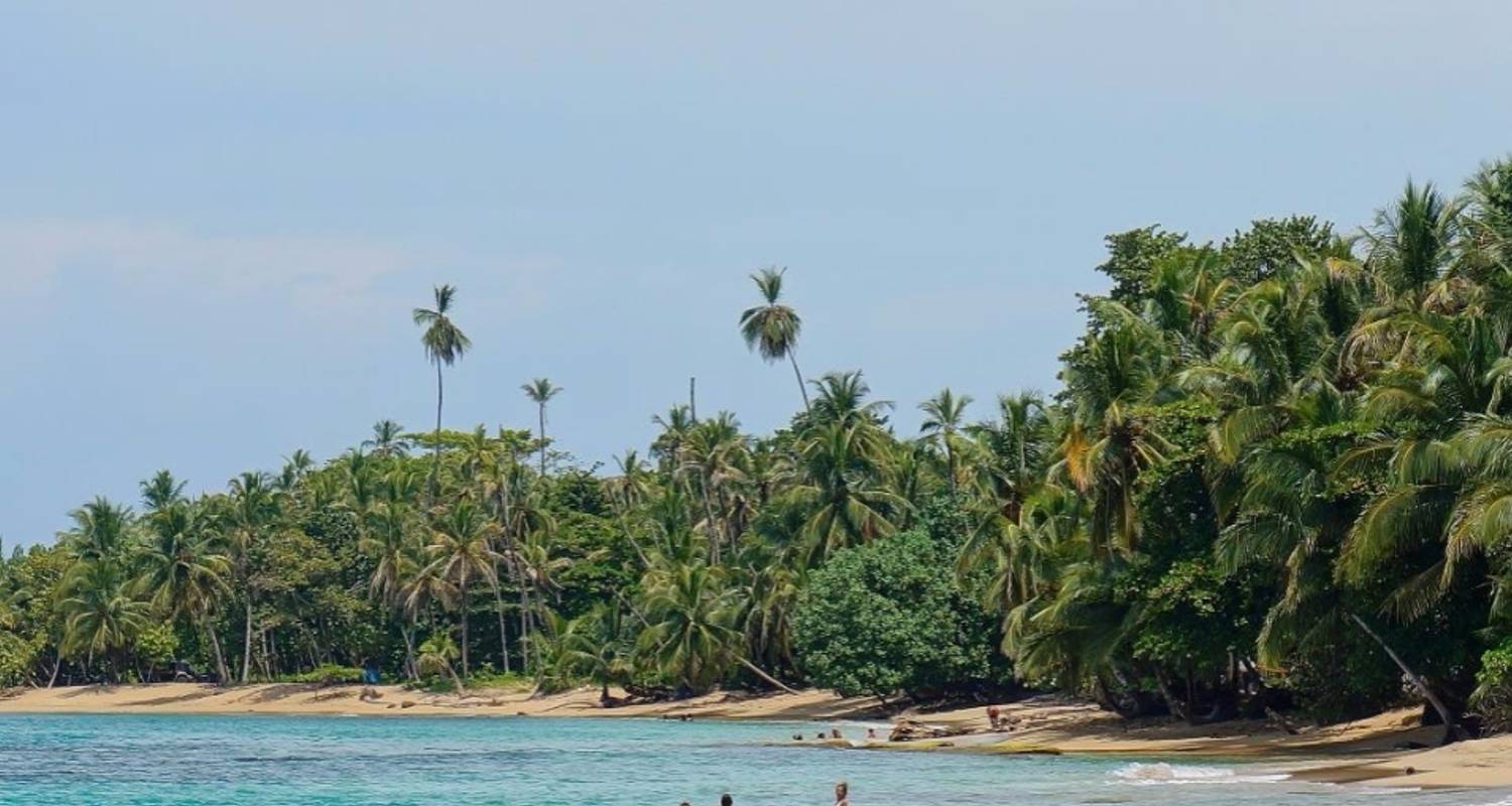 Volcanoes, Nature And Caribbean, Self-Drive