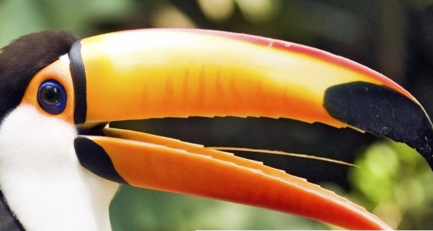 Essential Costa Rica - Package With Manuel Antonio National 