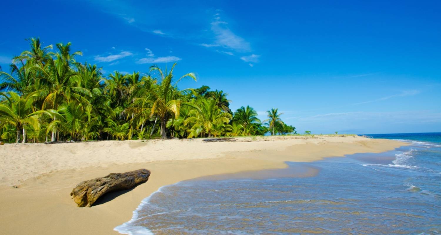Caribbean To Pacific