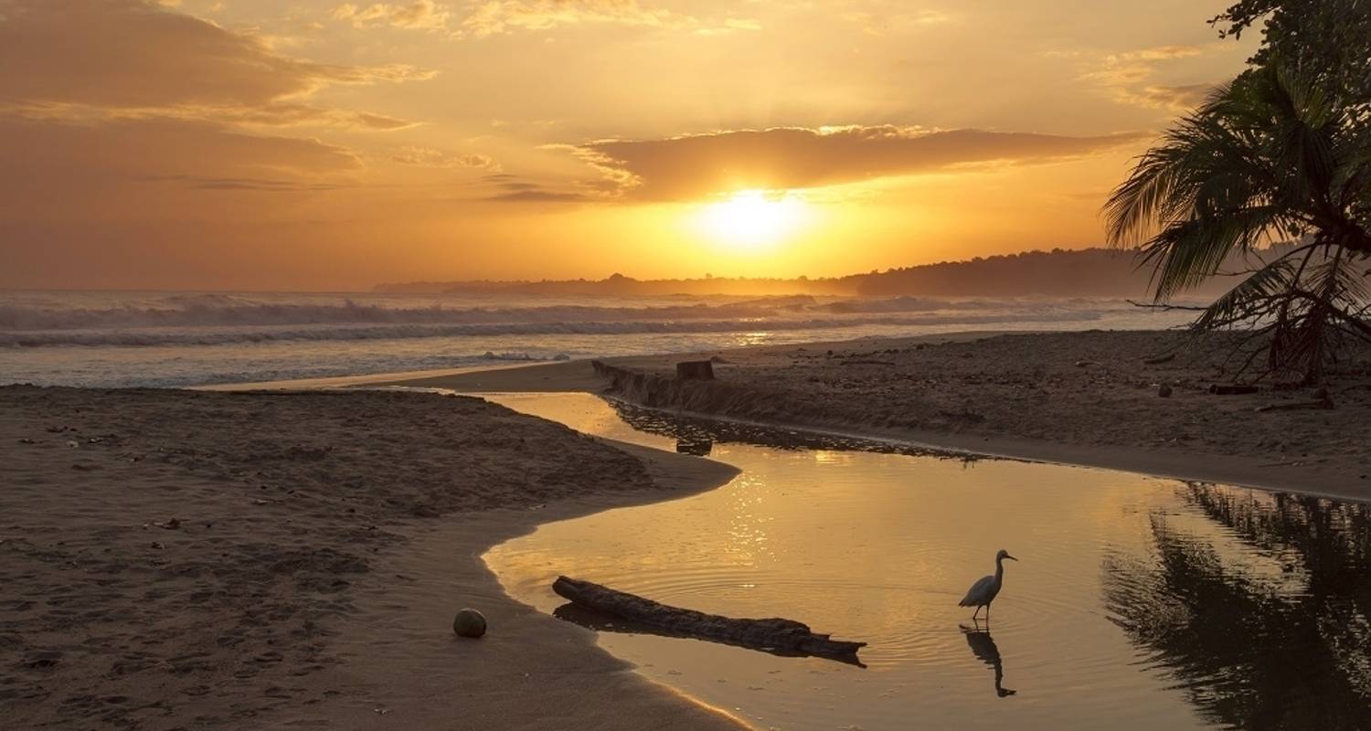 An adventure touring the most emblematic places in Costa Rica Jungle & Culinary Experience