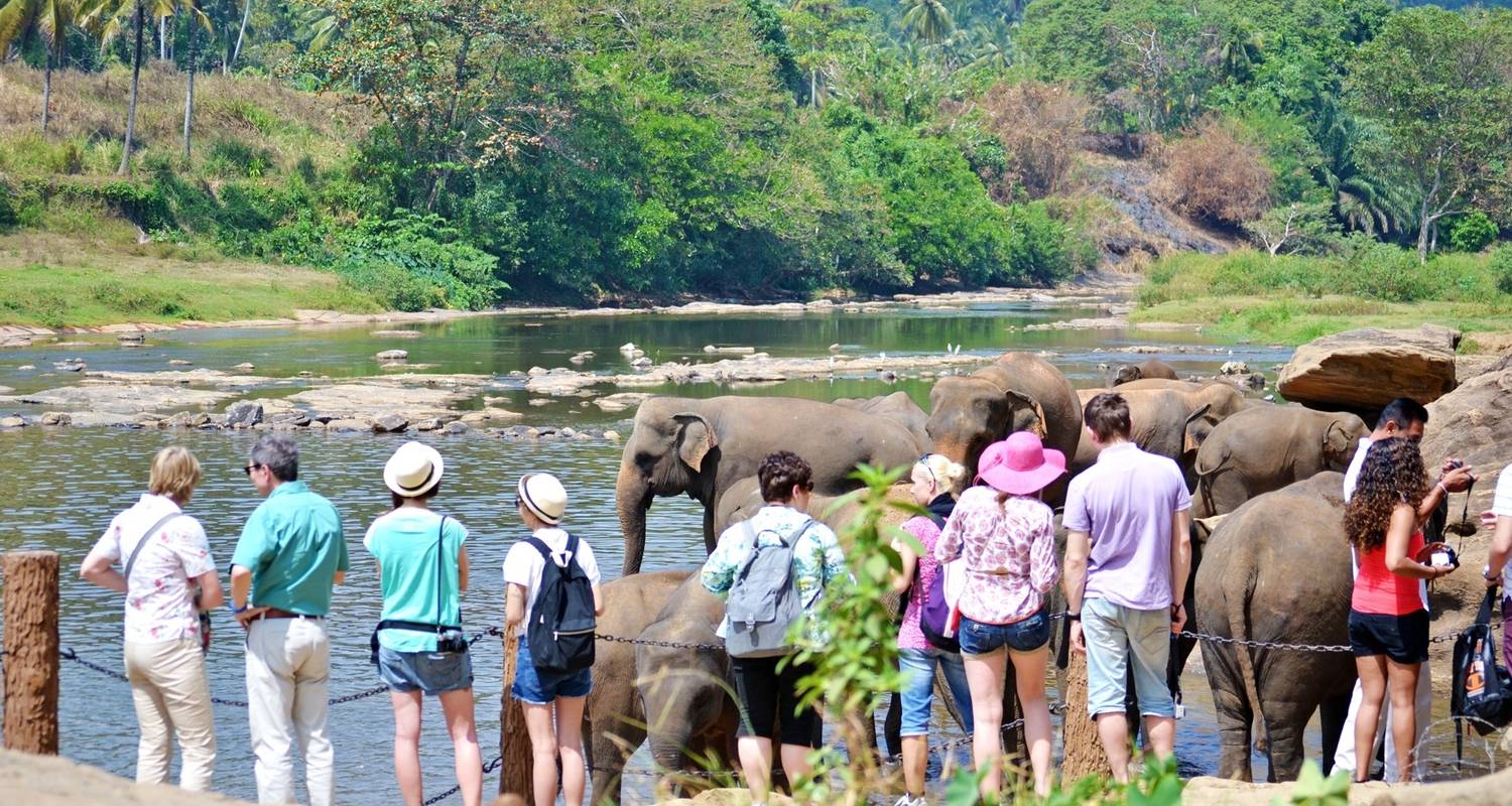 Sri Lanka In 8 Days