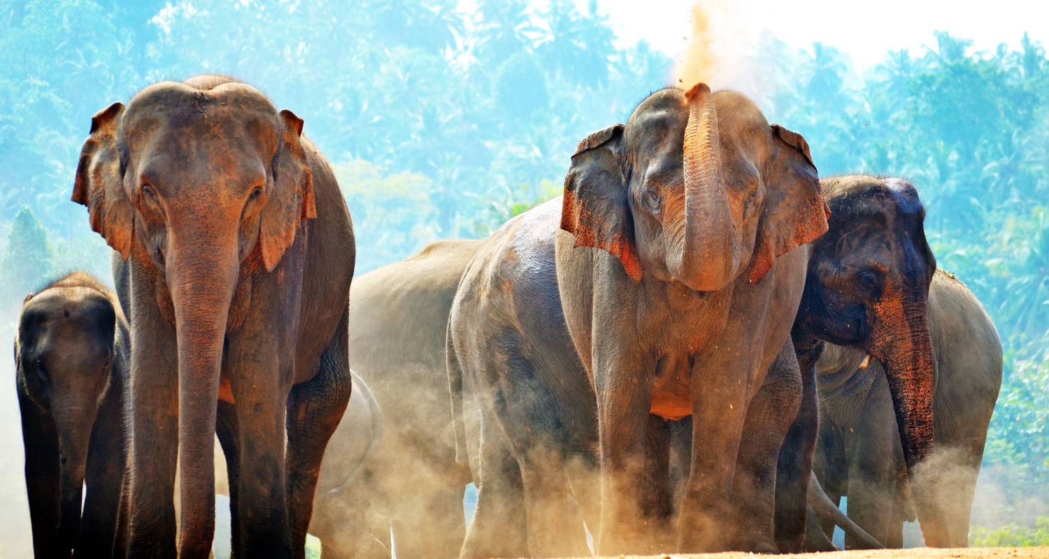 6 Day Sri Lanka Itinerary