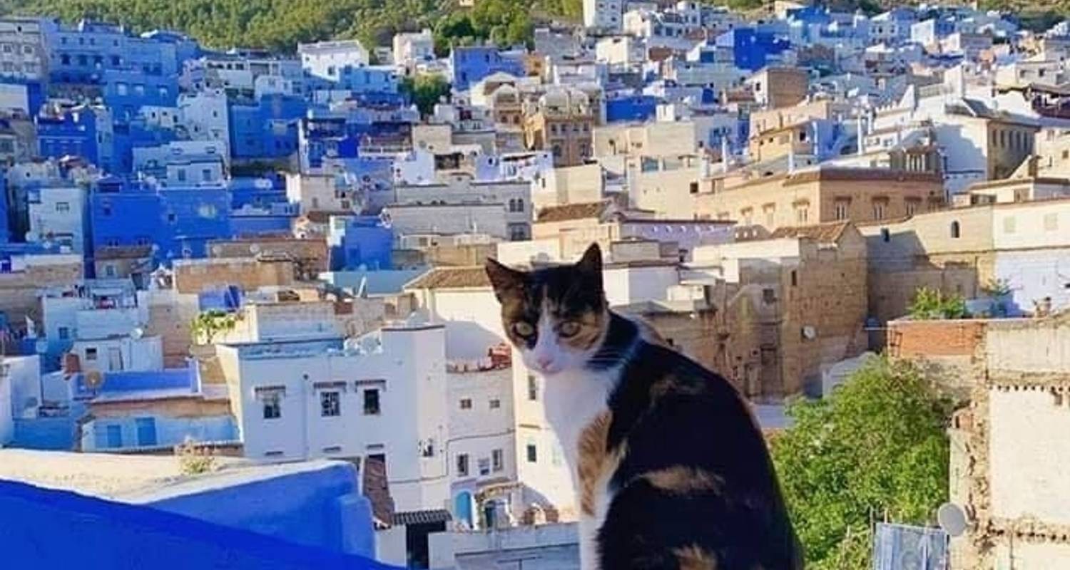 Morocco Excursions: Best Of Morocco - 15 Days