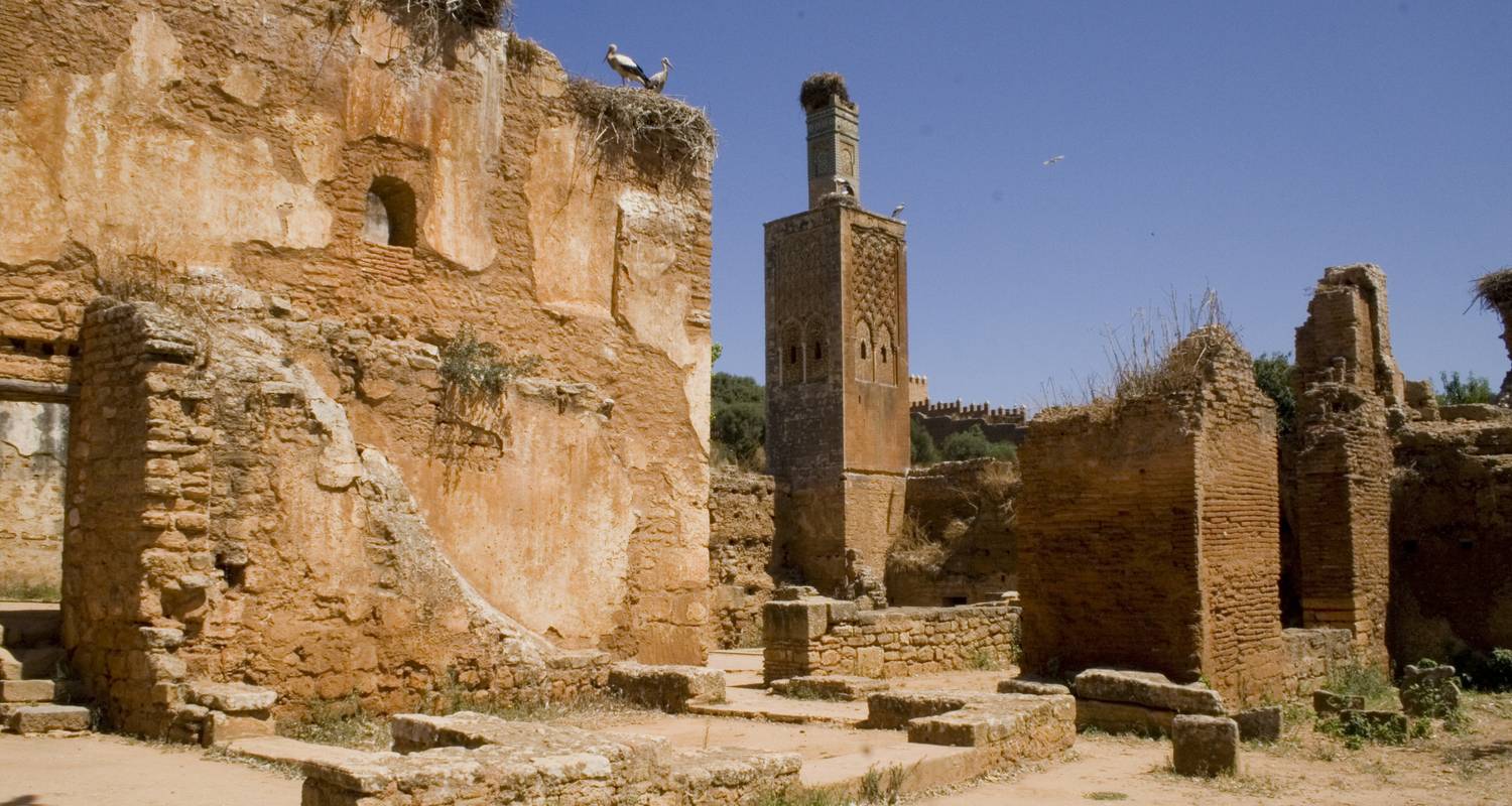 An adventure touring the most emblematic places in Morocco Imperial Cities & Sahara Discovery Tour From Casablanca