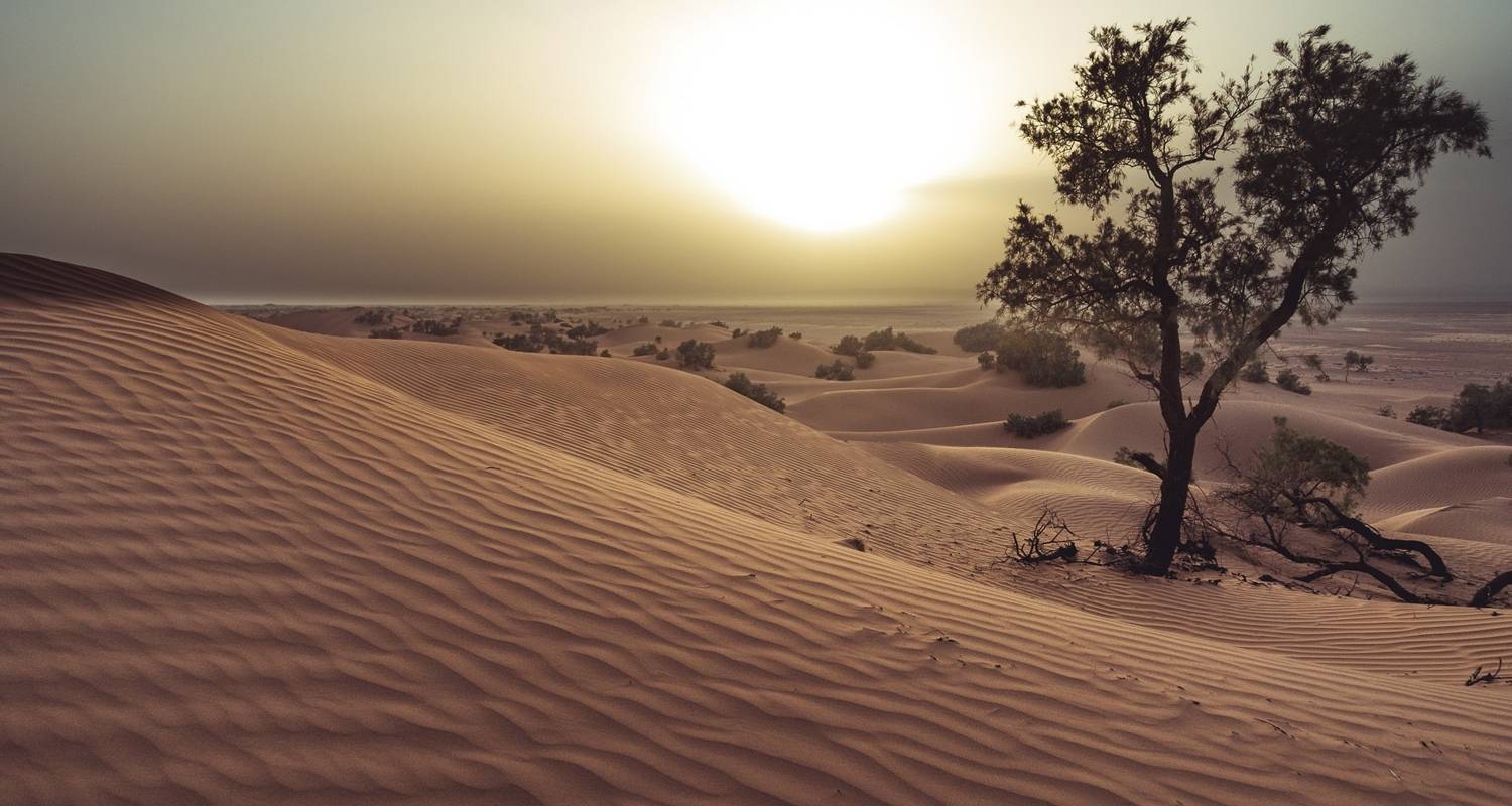 South Morocco Adventure - 15 Days