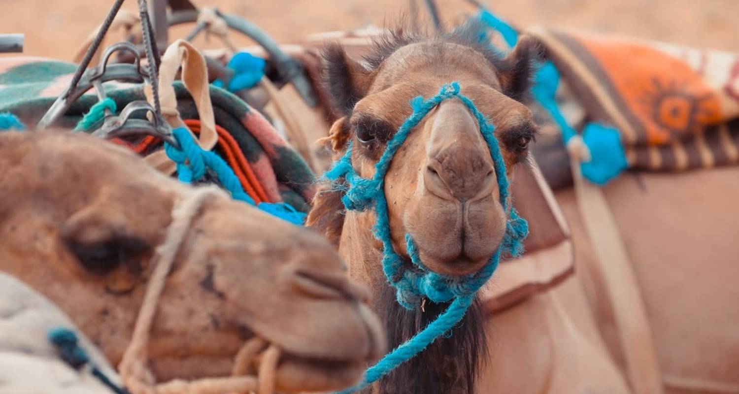 An adventure touring the most emblematic places in Morocco Private 2 Days Imlil To Ouirgane