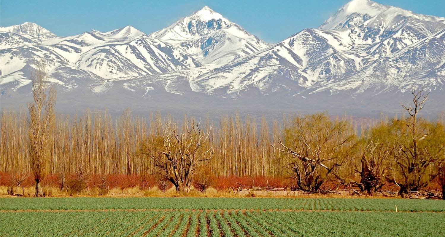 4 -  Days Trip To Mendoza & The Andes