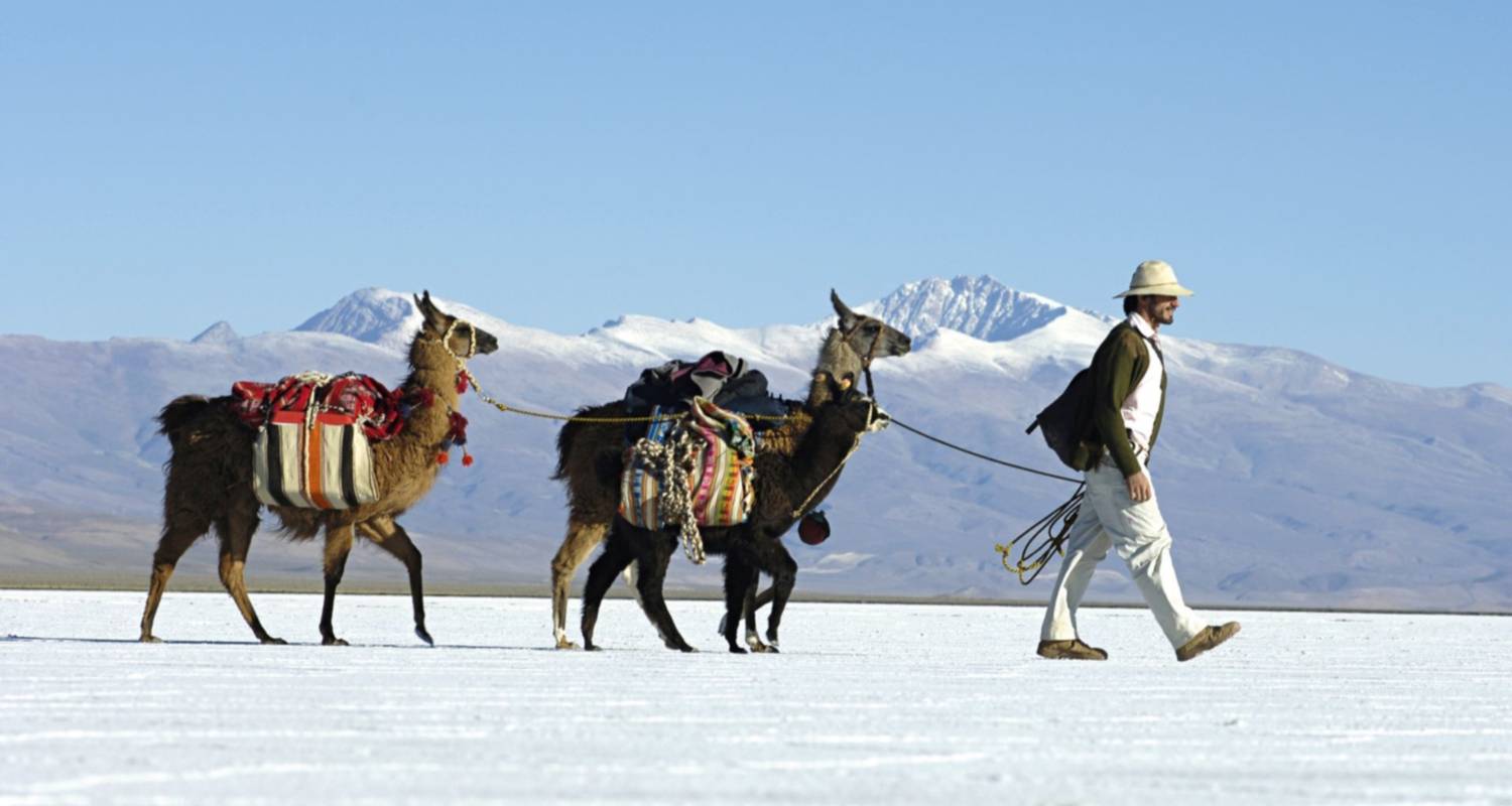 4 Days Discovering Amazing Salta - Full Nature & Adventure