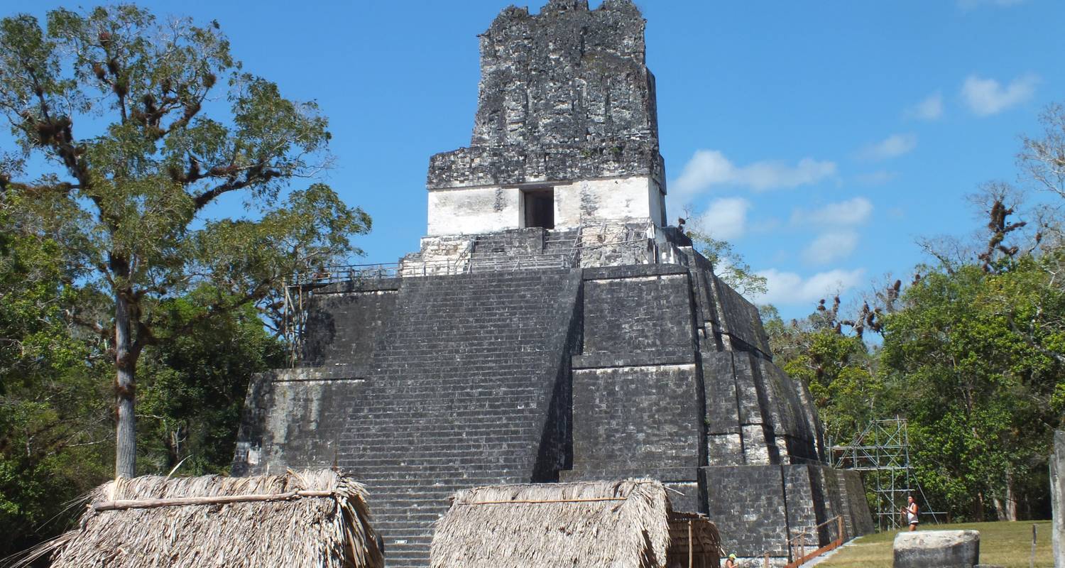 From Flores: Tikal Ruins Guided Day Trip