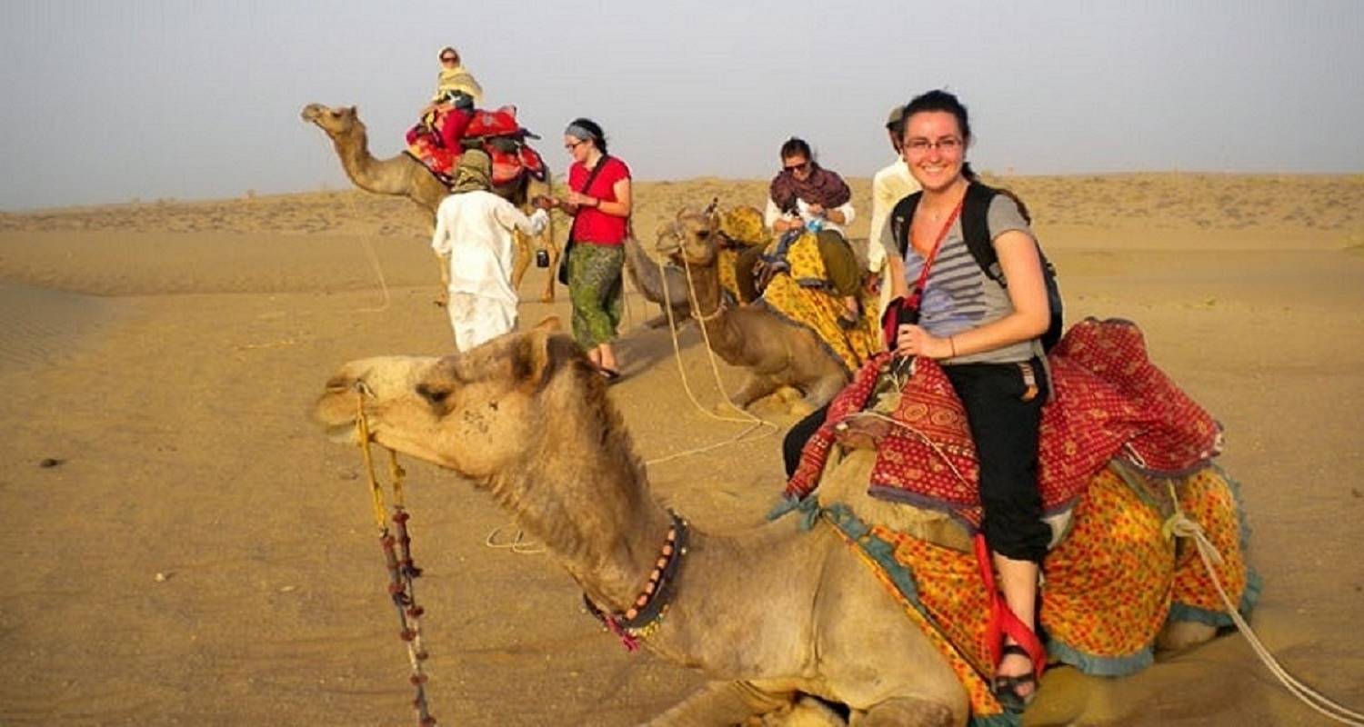 Golden Triangle With Rajasthan And Wildlife Tour 11 Days / 1