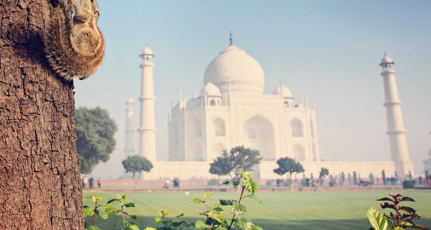 Real Rajasthan