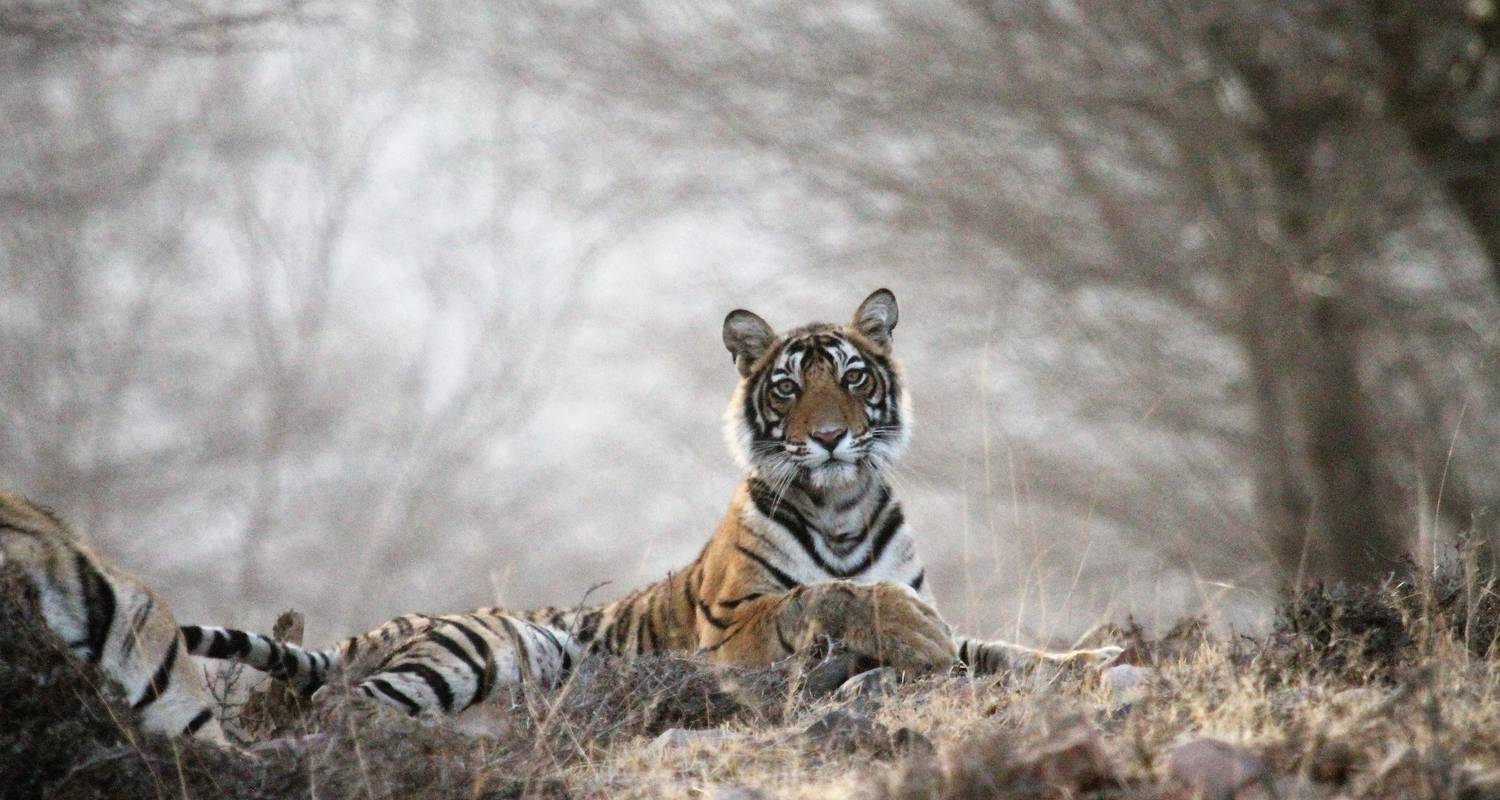 Highlights Of North India - Luxury