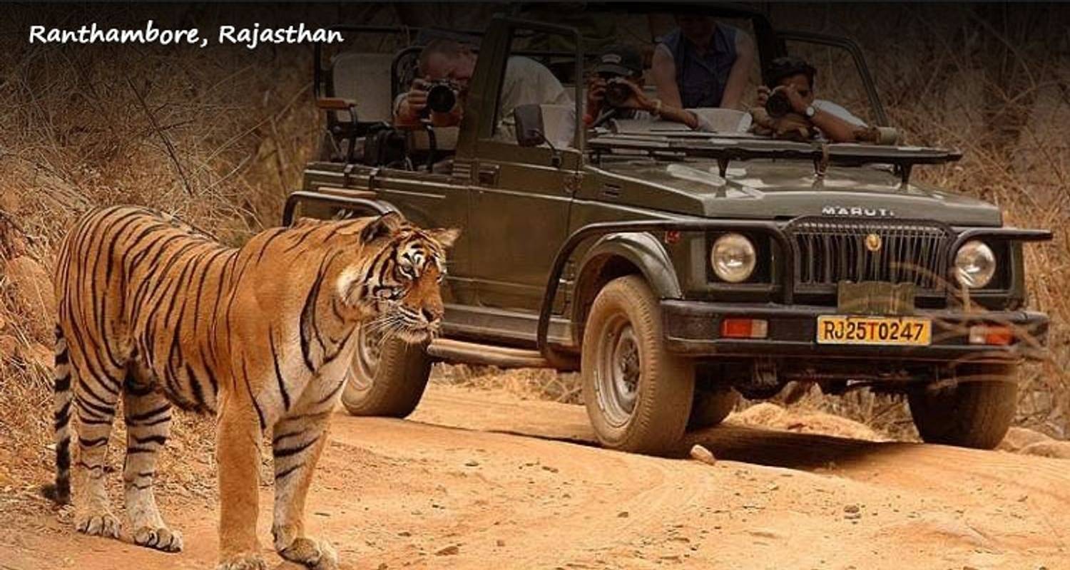 Luxury Golden Triangle Tour With Ranthambore