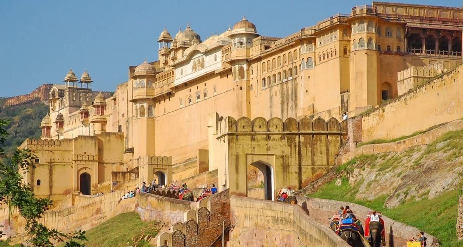 India Tiger Tour With Taj Mahal