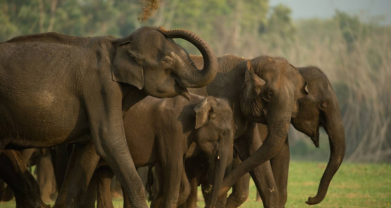 South And North India Tour