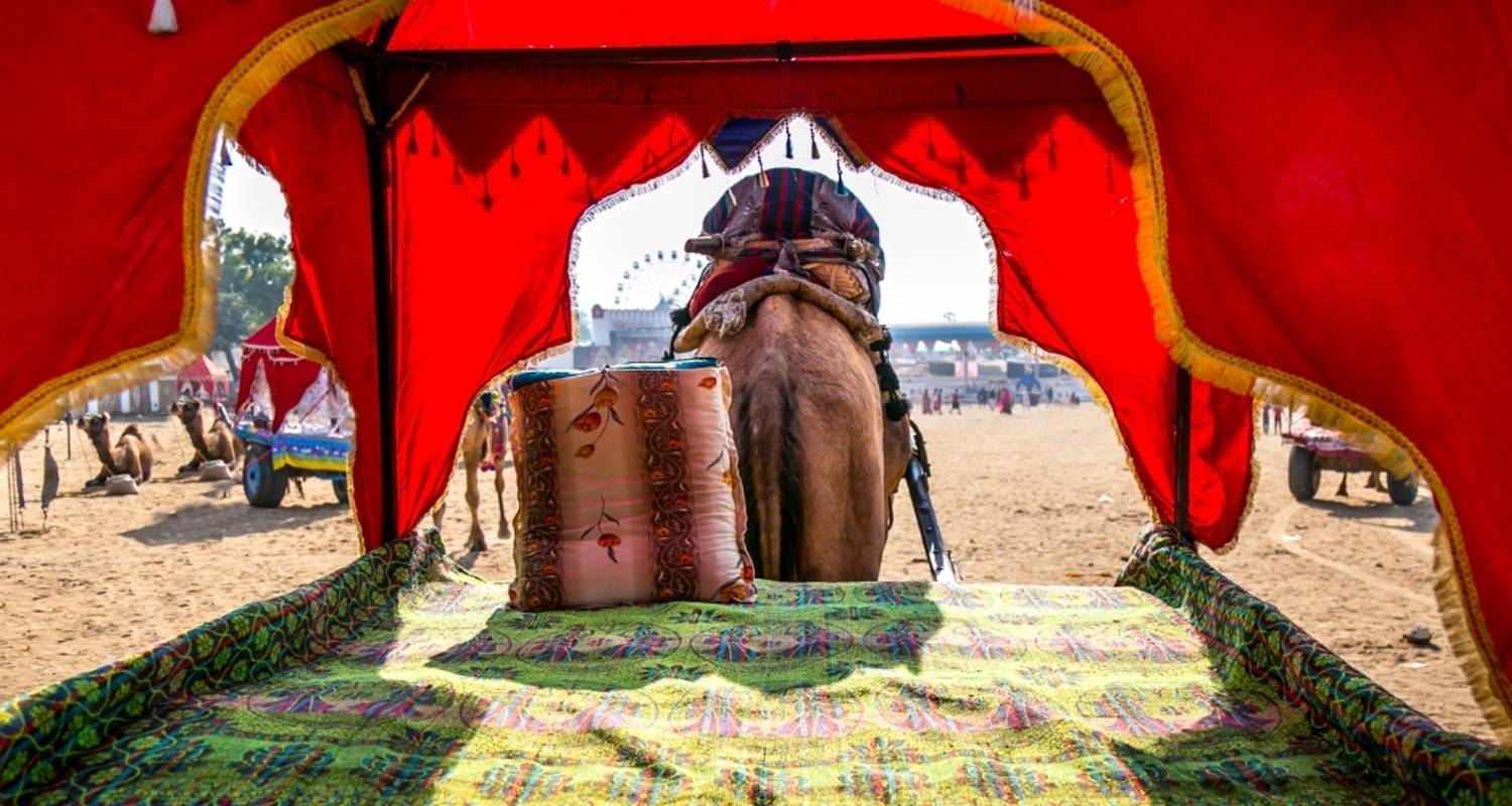 An adventure touring the most emblematic places in India 6 Day Golden Triangle Tour With Pushkar - Delhi Agra Jaipur