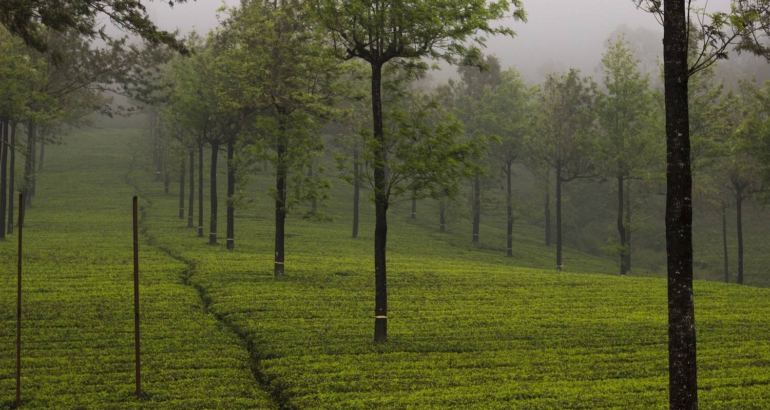 An adventure touring the most emblematic places in India Grand Tour Of India