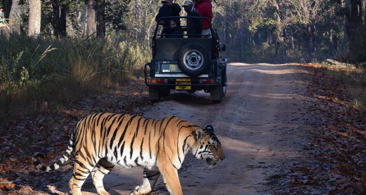 Golden Triangle Tour With Bandhavgarh