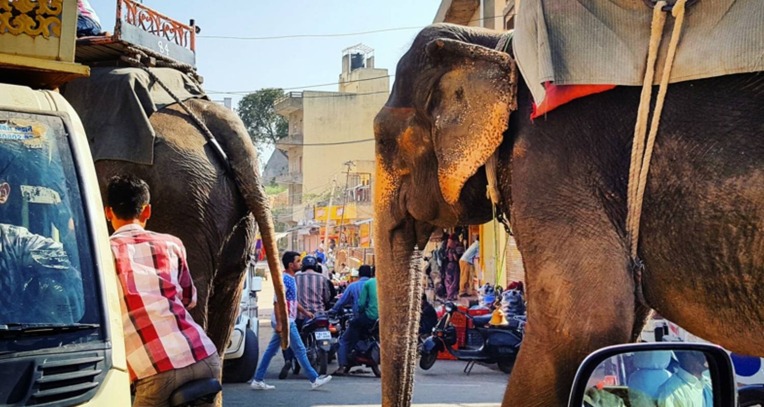 Golden Triangle With Pushkar Tour