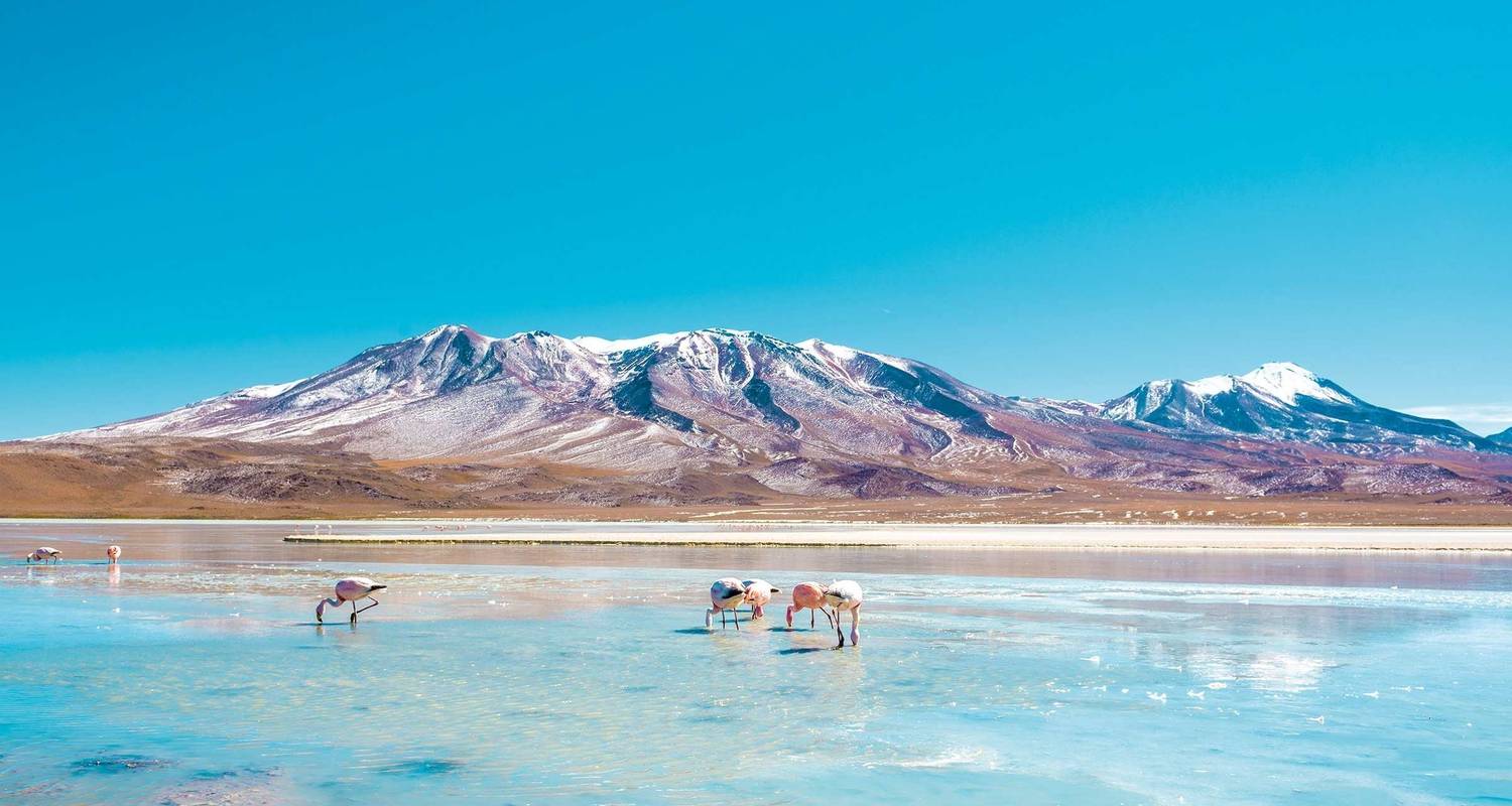 An adventure touring the most emblematic places in India Golden Triangle Tour With Leh