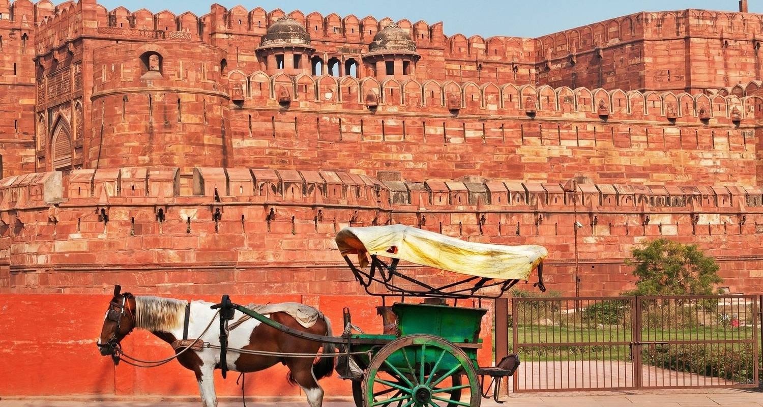 An adventure touring the most emblematic places in India India Small Group Tour