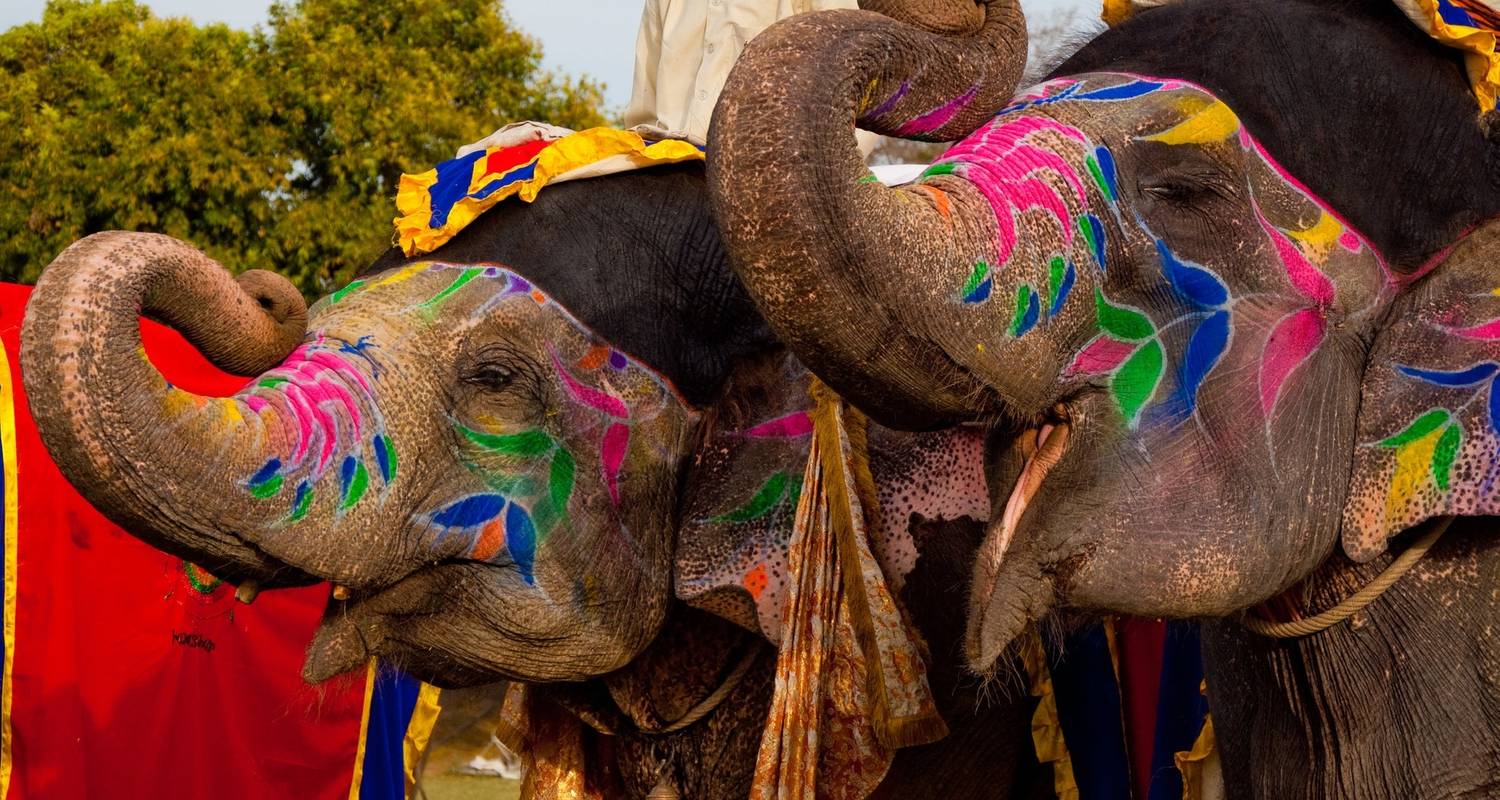 Historical Rajasthan Tour