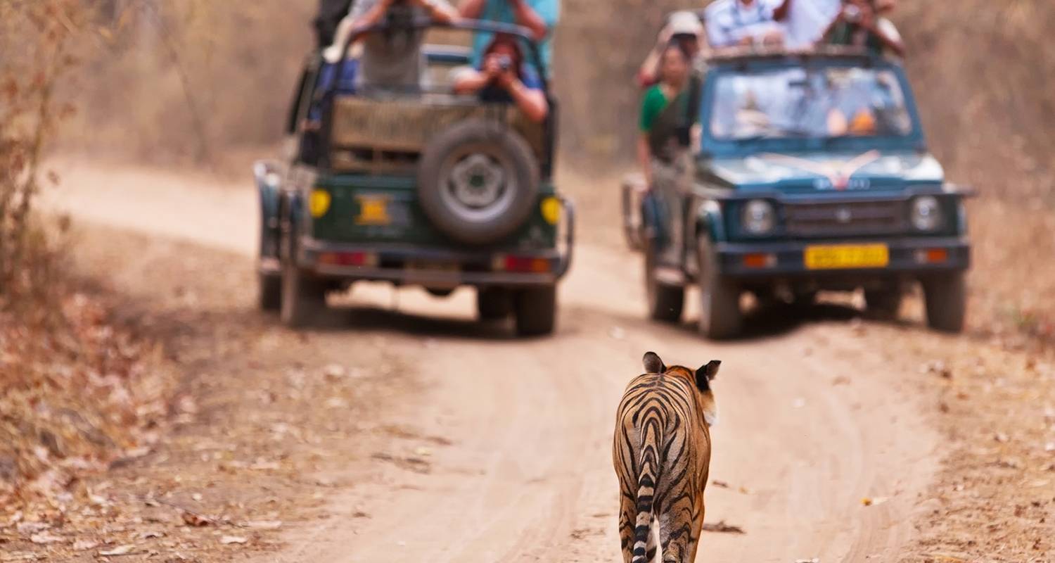 An adventure touring the most emblematic places in India North India Women’S Tour